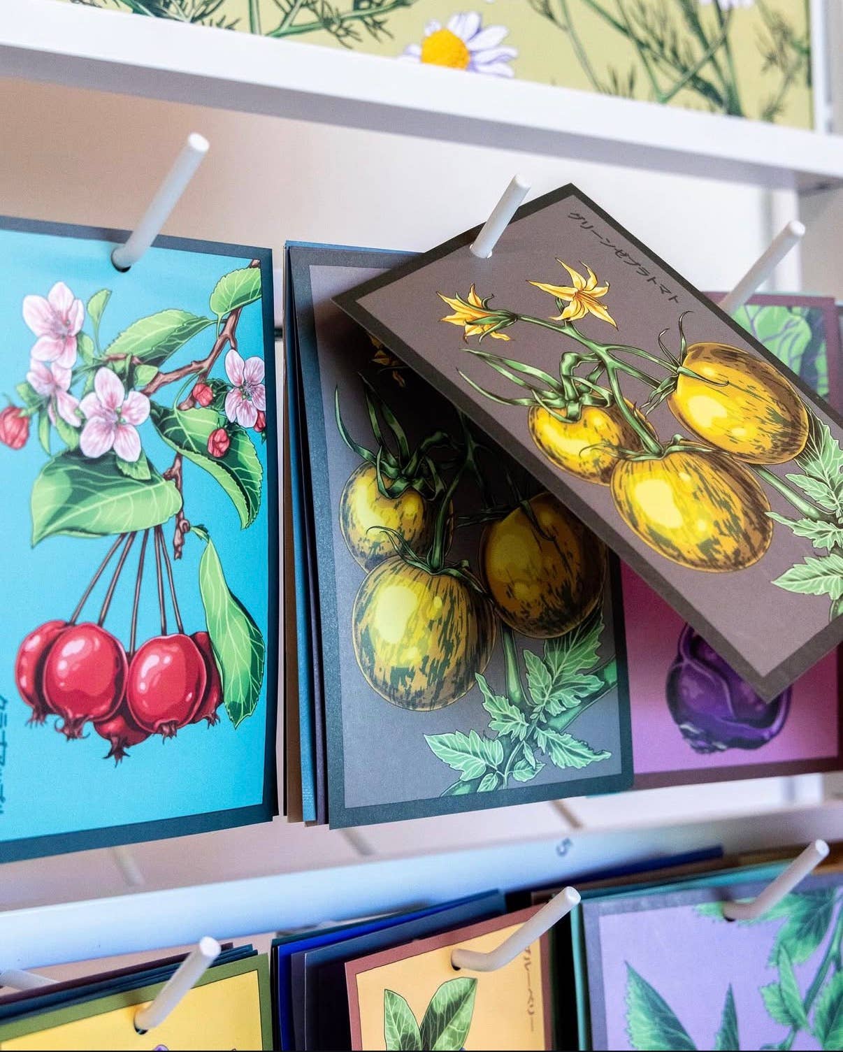 Chive - Wholesale Plant Seeds - Bulk Flower Seeds Wholesale — Premium Flower Seed Packs4