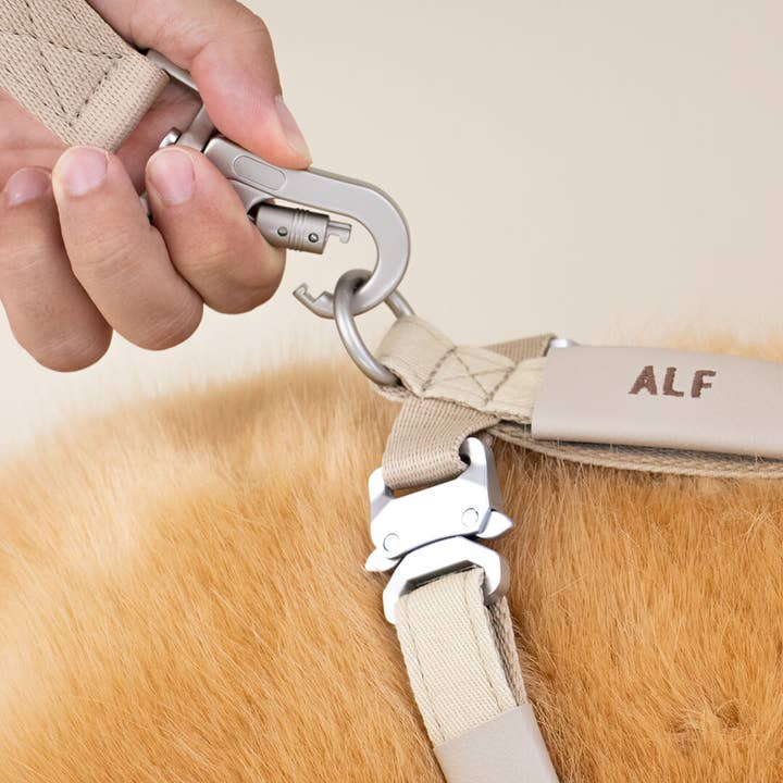 Qisu – wholesale Hundkoppel - Hund – Luftkoppelduk