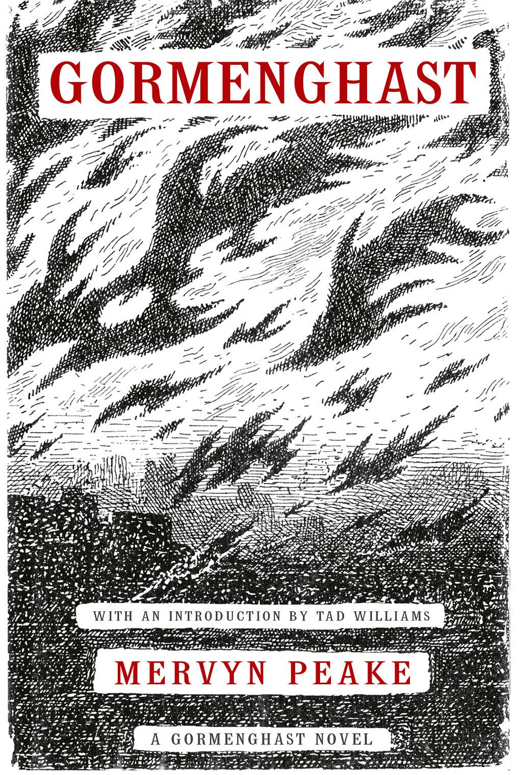 Abrams - Wholesale Fantasy Novel - Gormenghast0