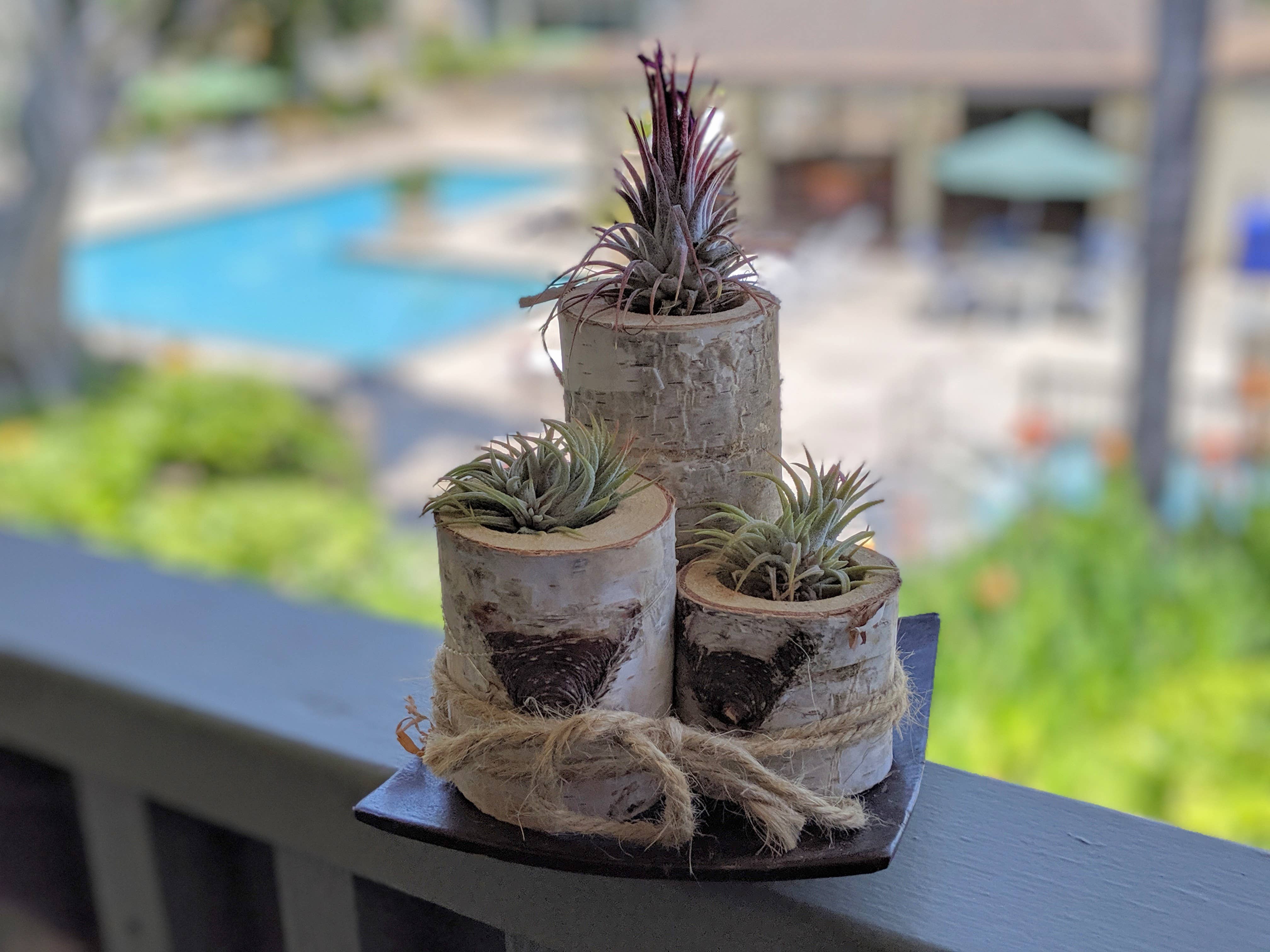 Winter Woods - Wholesale Candle Holder - Birch Decor Holder Set1