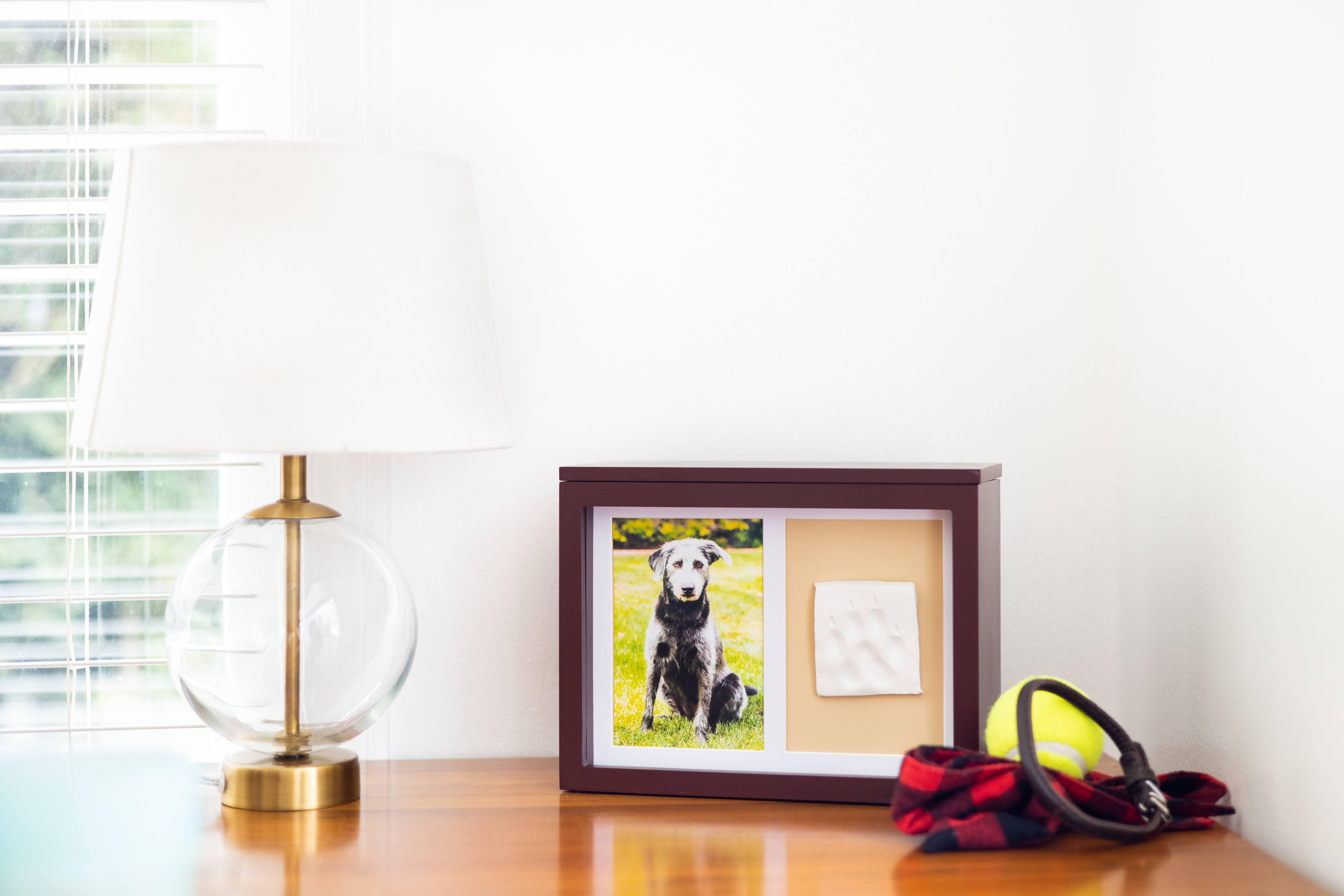 Pearhead - Wholesale Pet Urn/Keepsake Box - Pet Memory Box & Pawprint Impression Kit9