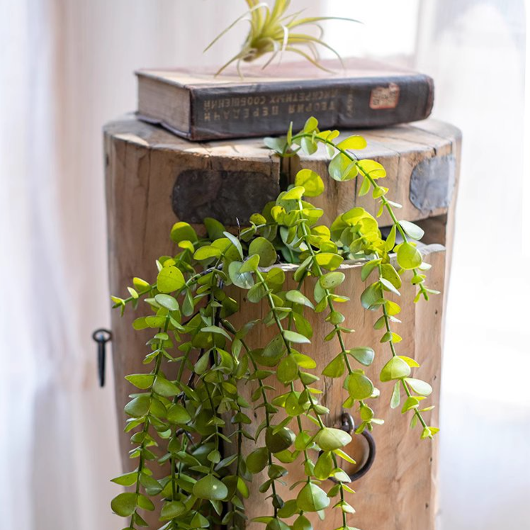 Rustic Reach - Wholesale Artificial Plant - Petite Foliage Weeping Fern Sprig7