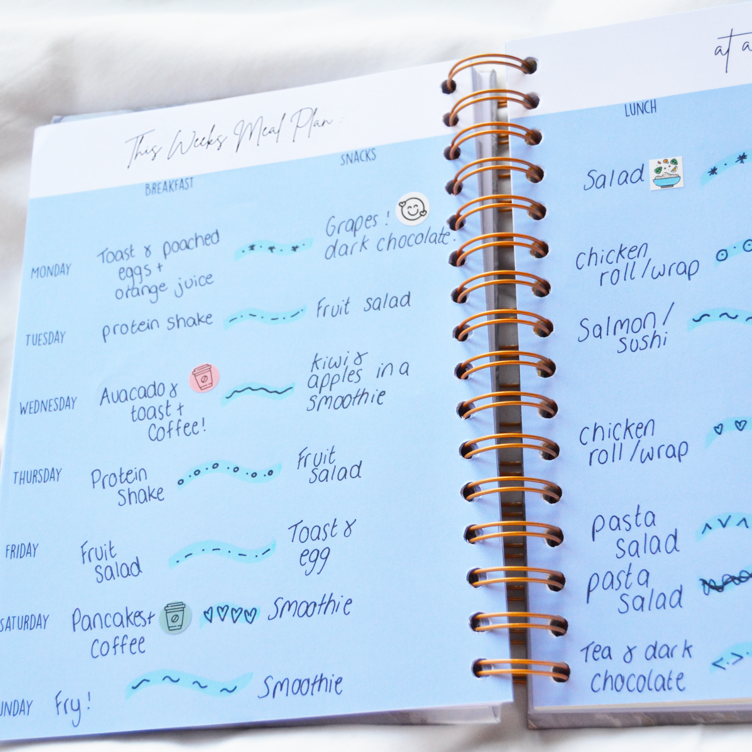 GirlGottaChange - Wholesale Planner - 'Live Your Best Life' 6-Month Undated Health & Fitness Planner5