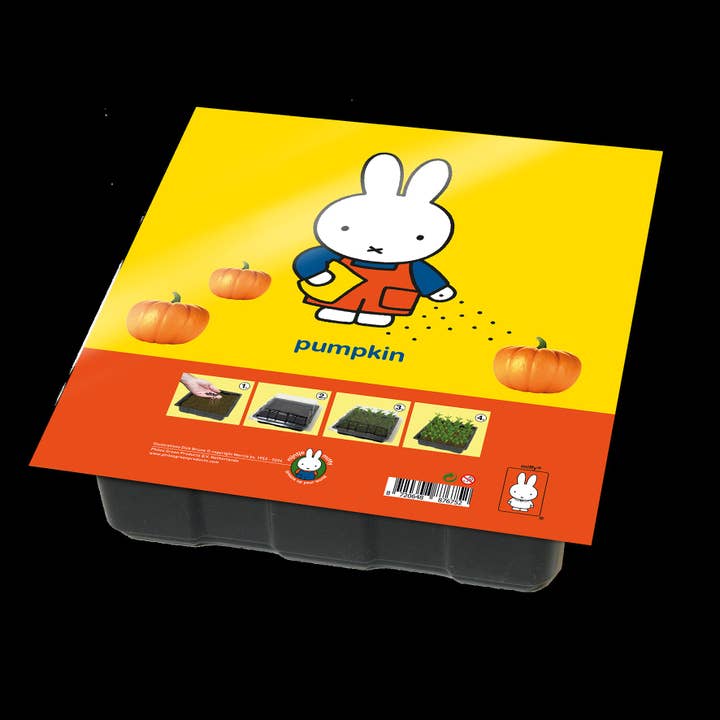 Kit de culture Miffy Citrouille pour la vente par Philos Green Products