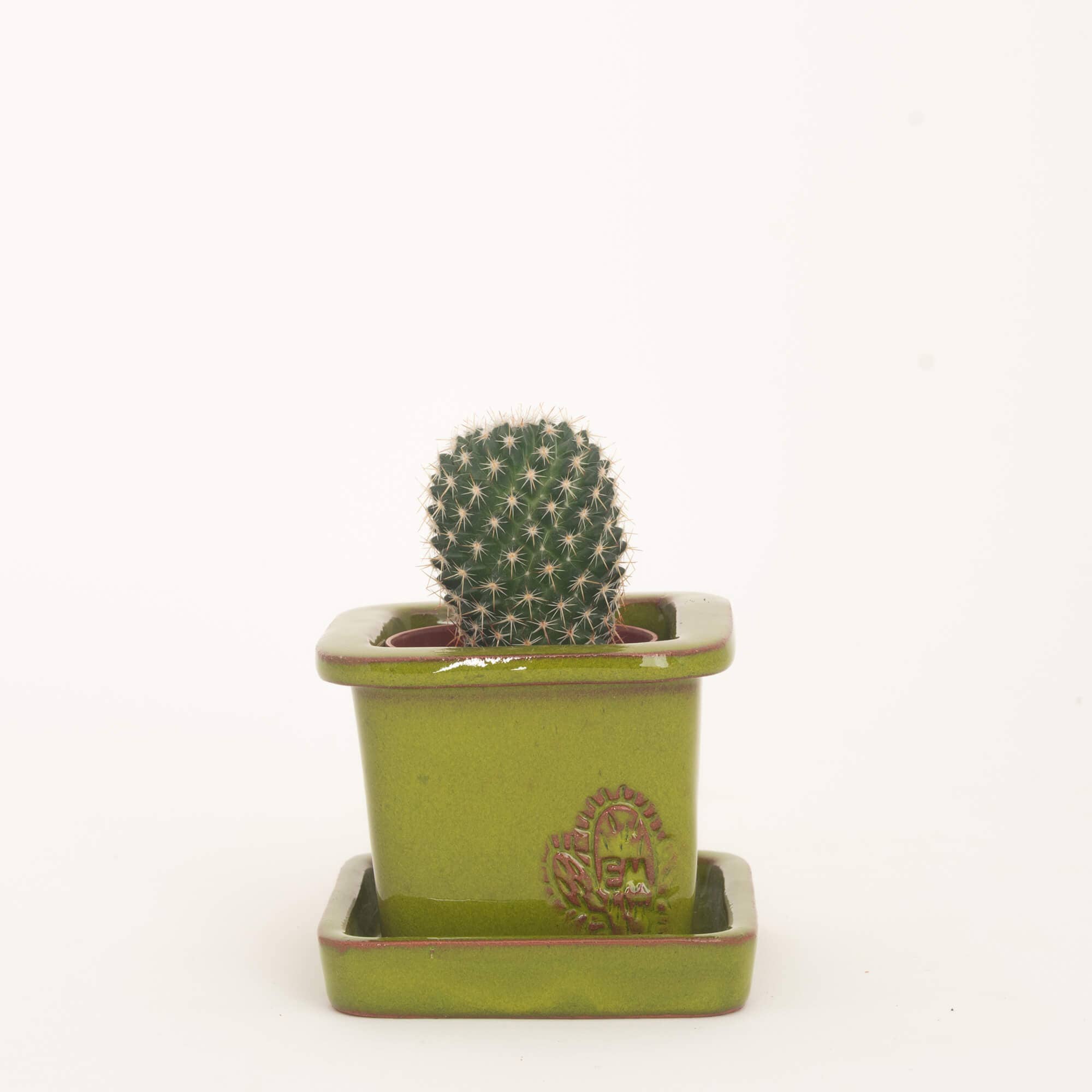 Vasos Quadrados by EM – Vaso de plantas por atacado – VASO QUADRADO MINI 6x6 - BRILHO40