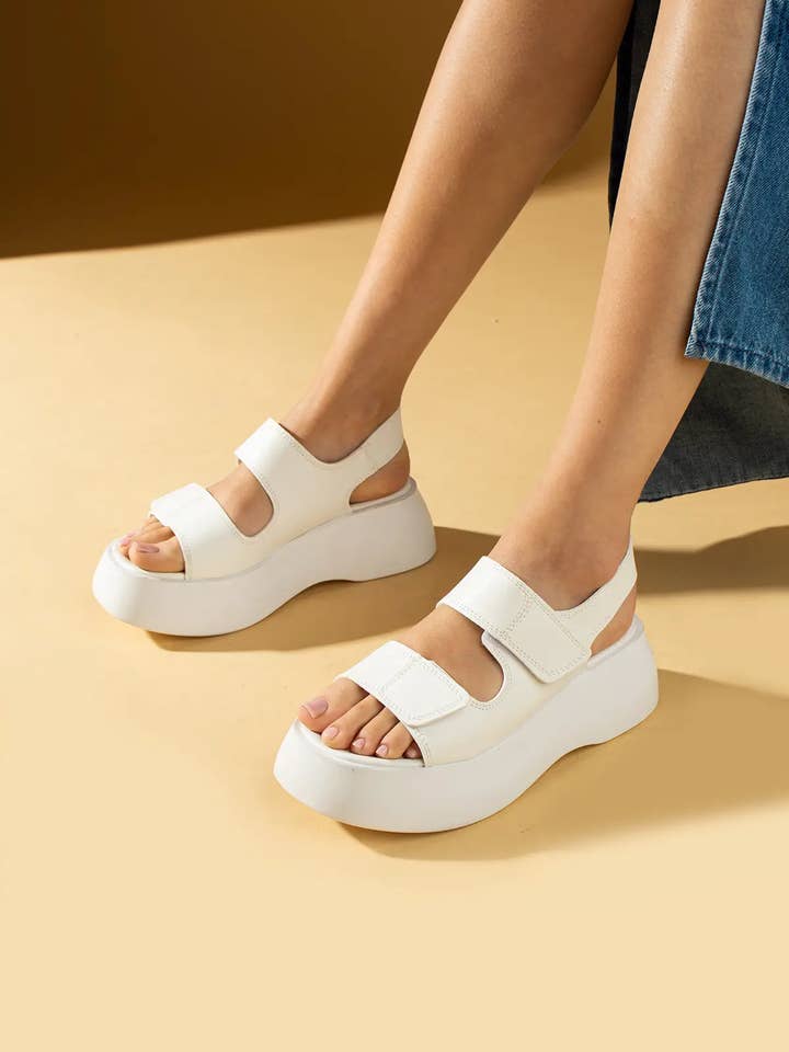 36-501-24 for engroshandel hos Pembe Potin