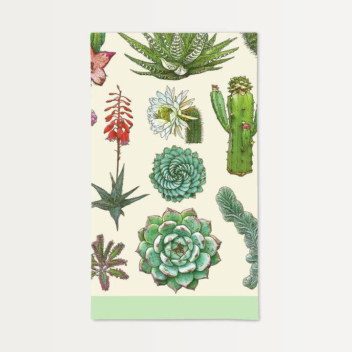 Cacti Beauties Handtuch aus Baumwolle für den Großhandel von Brook Isle