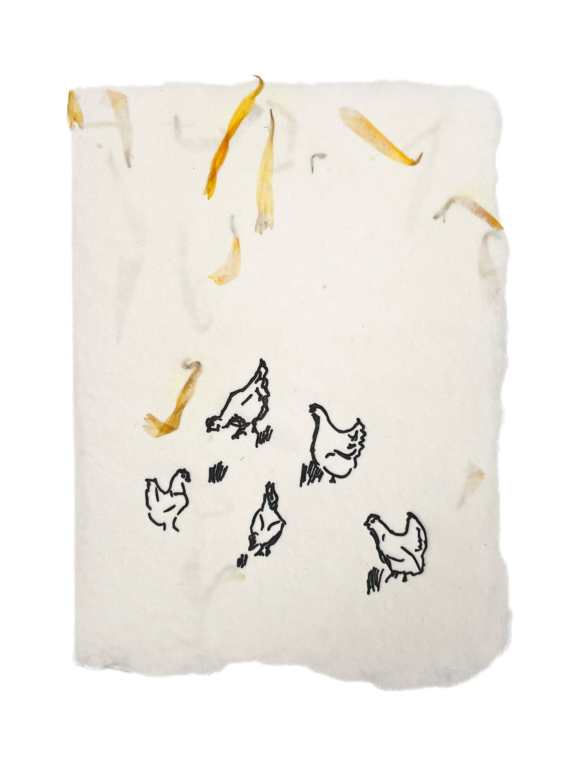 farmette – wholesale Everyday greeting card – backyard chickens0