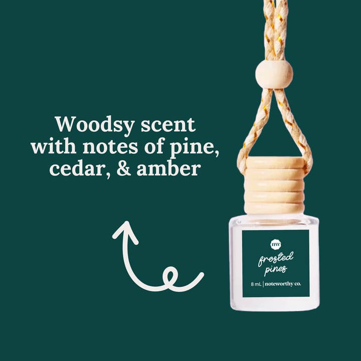 Noteworthy Co - Wholesale Car Freshener - Unisex - Car Diffusers | NEW Holiday Scents3