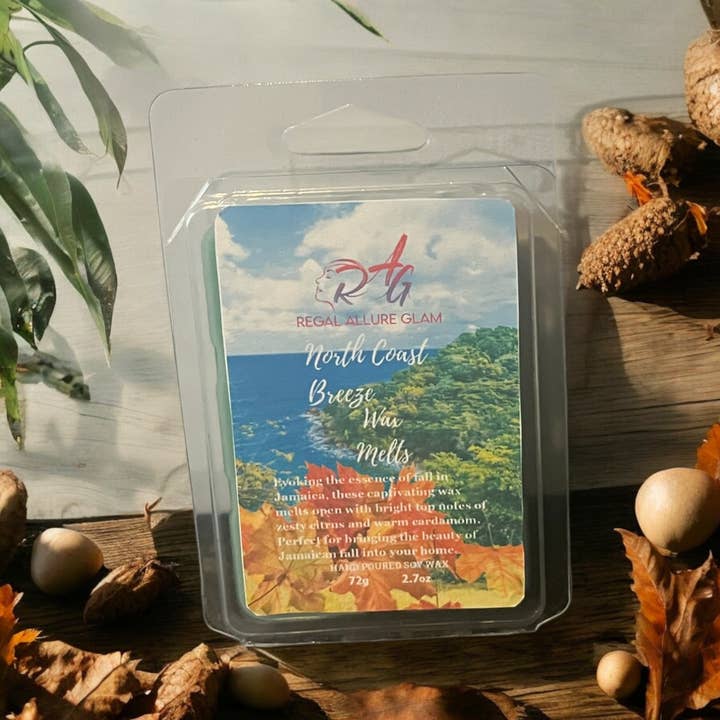 North Coast Breeze Soy Wax Melt for wholesale by Regal Allure Glam