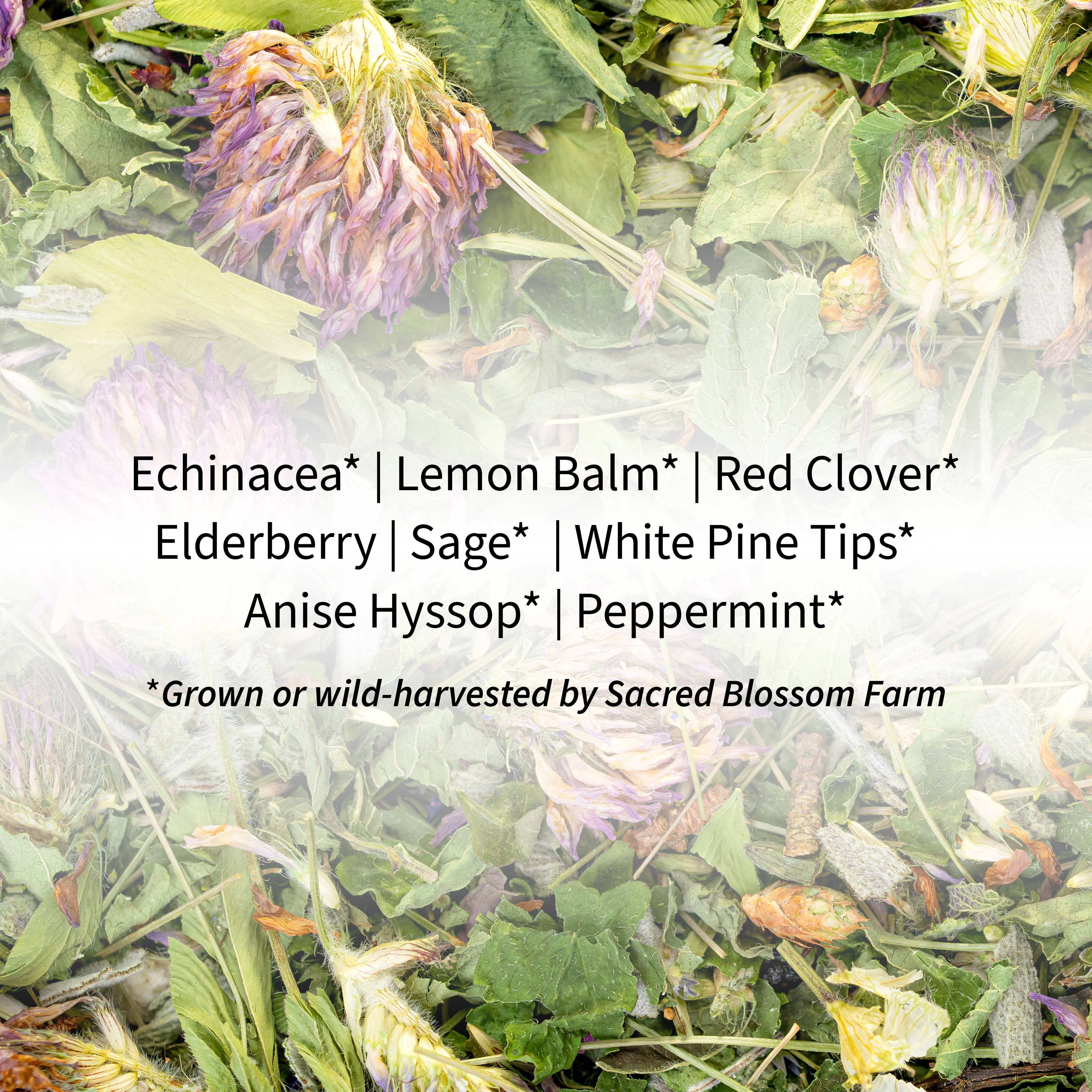 Sacred Blossom Farm - Wholesale Health/Detox Tea - Immunity Herbal Tea5