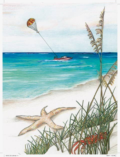 Apple Pie Publishing – wholesale Pre-school book (3–5) – Fred Visits the Coast Children's Book2