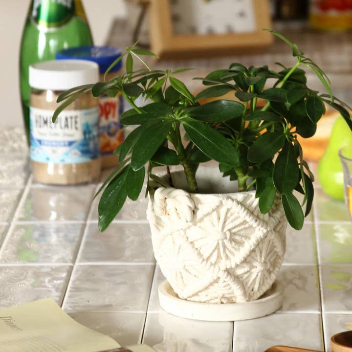 Macrame Cement Planter Small for wholesale by Time Concept