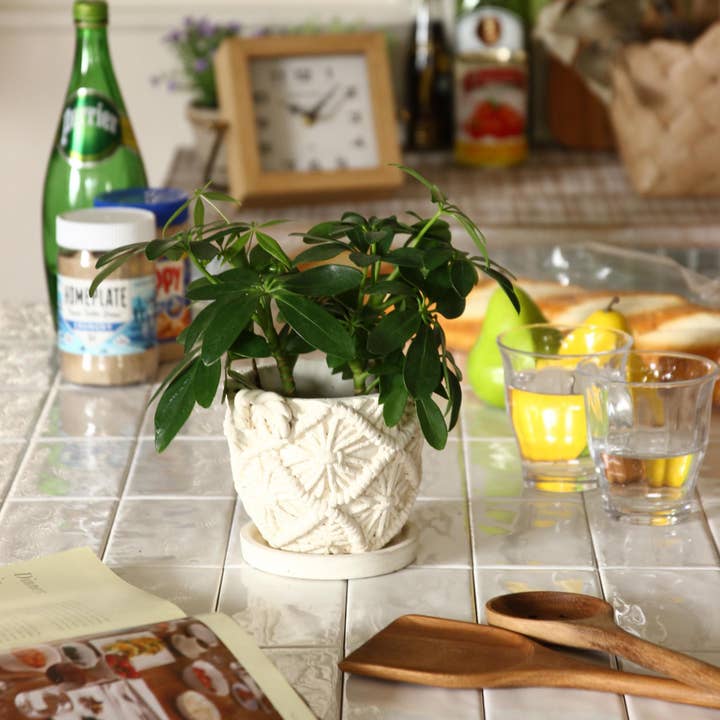 Macrame Cement Planter Small for wholesale by Time Concept