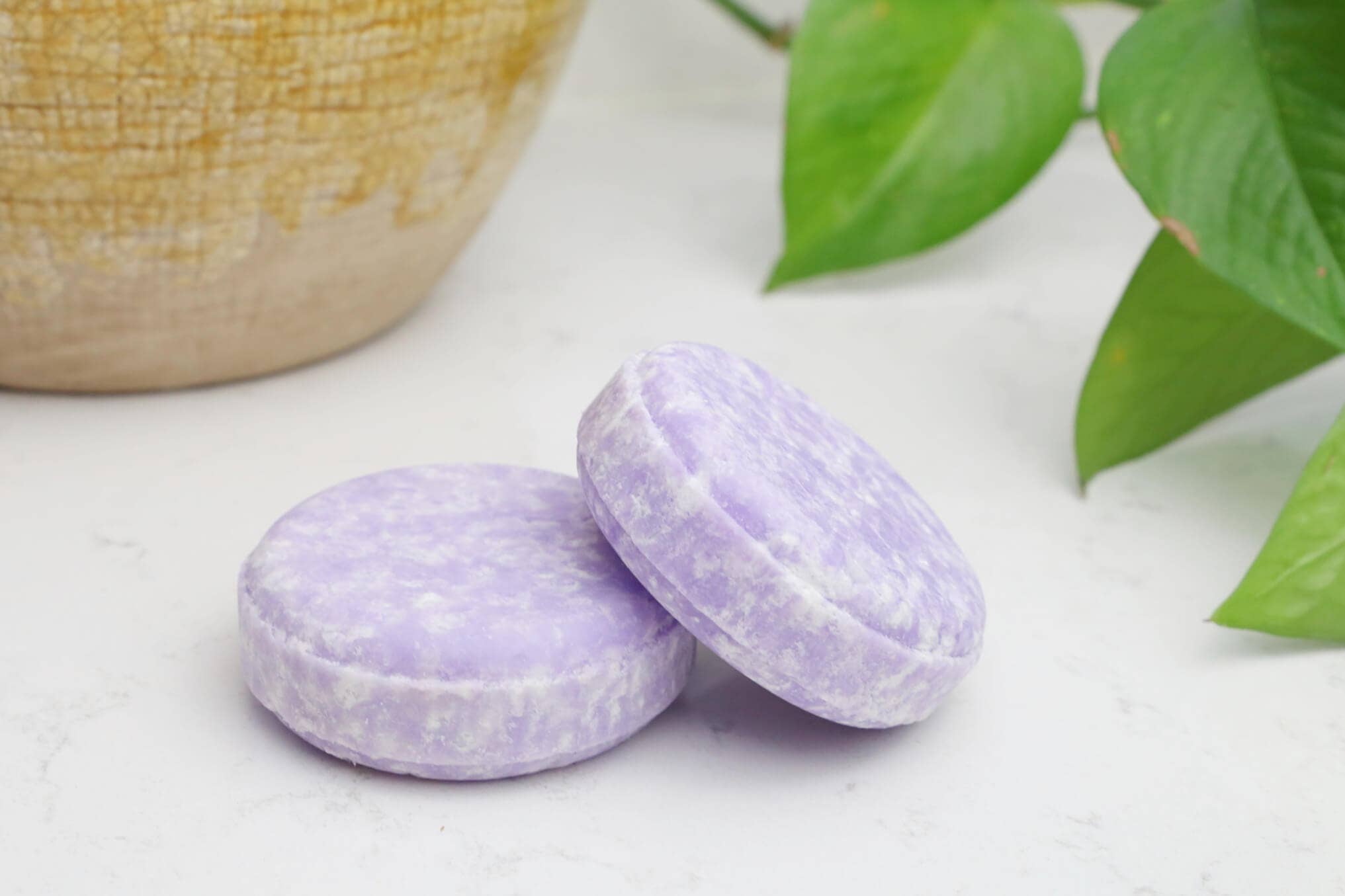 Beewise - Wholesale Shampoo Puck/Solid Shampoo - Shampoo Bar All Hair Types | SLS-Free & Vegan1