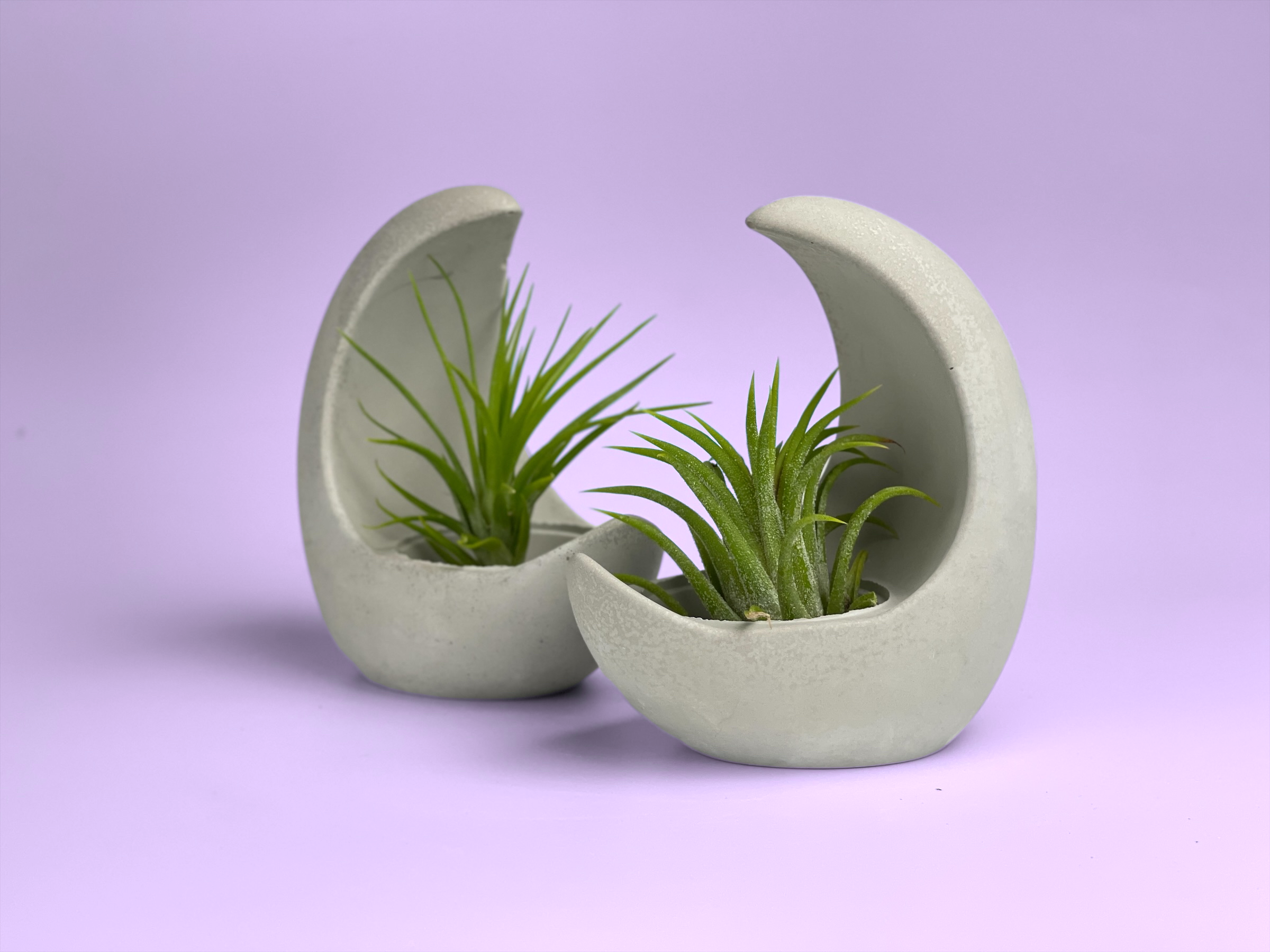 Planters Made in the USA - Wholesale Plantenpot - YOUNG MOON houder voor Tillandsia luchtplant4