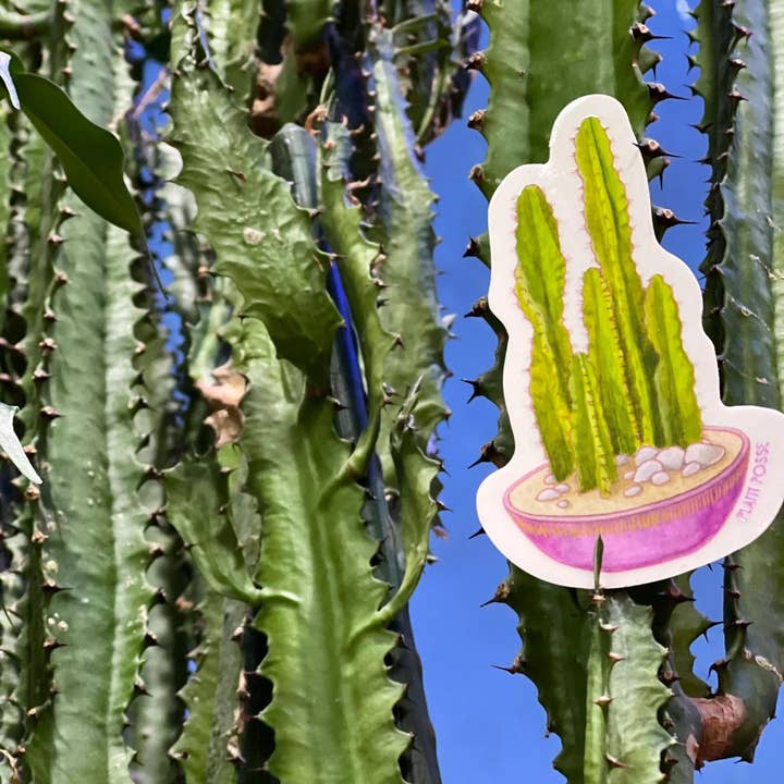Plant Posse - Wholesale Sticker - Cactus Sticker2