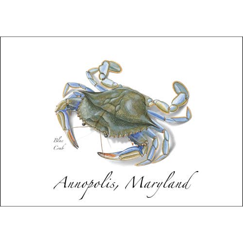 Blue Crab for wholesale by Earth Sky + Water