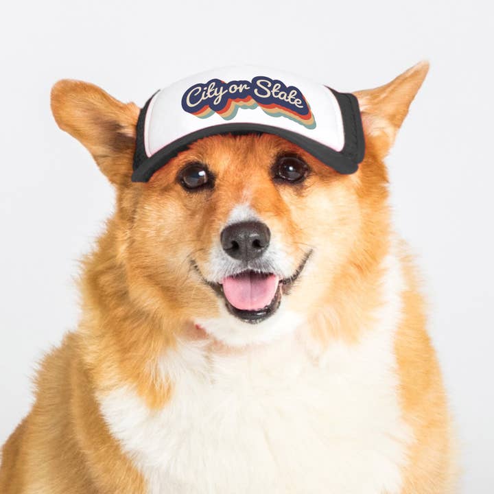 Custom Retro Text | Trucker Hat for Dogs for wholesale by PupLid