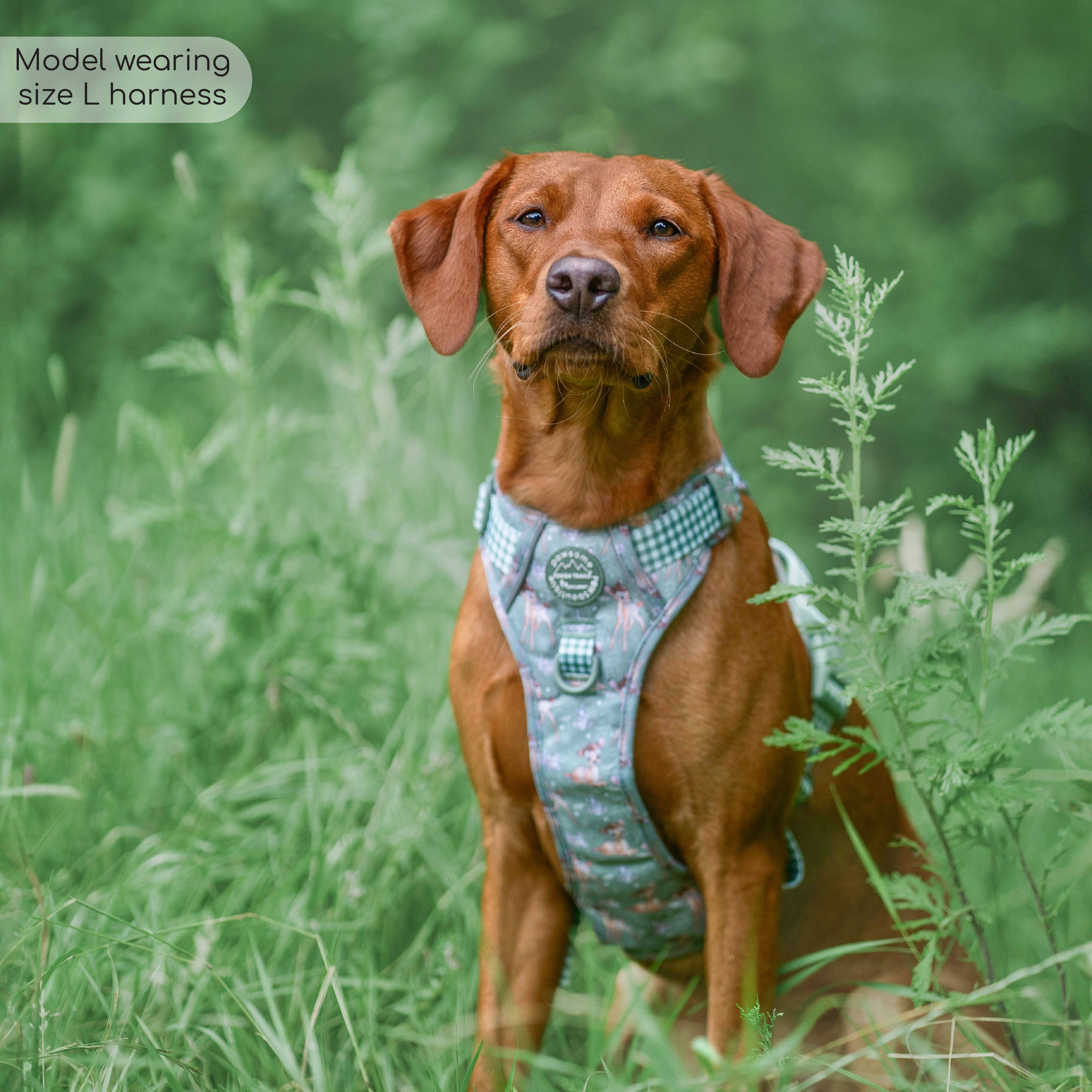 Pawsome Paws - Wholesale Tuig voor huisdieren - Hond - Disney© Tough Trails™ tuigje - Bambi en Stampertje7
