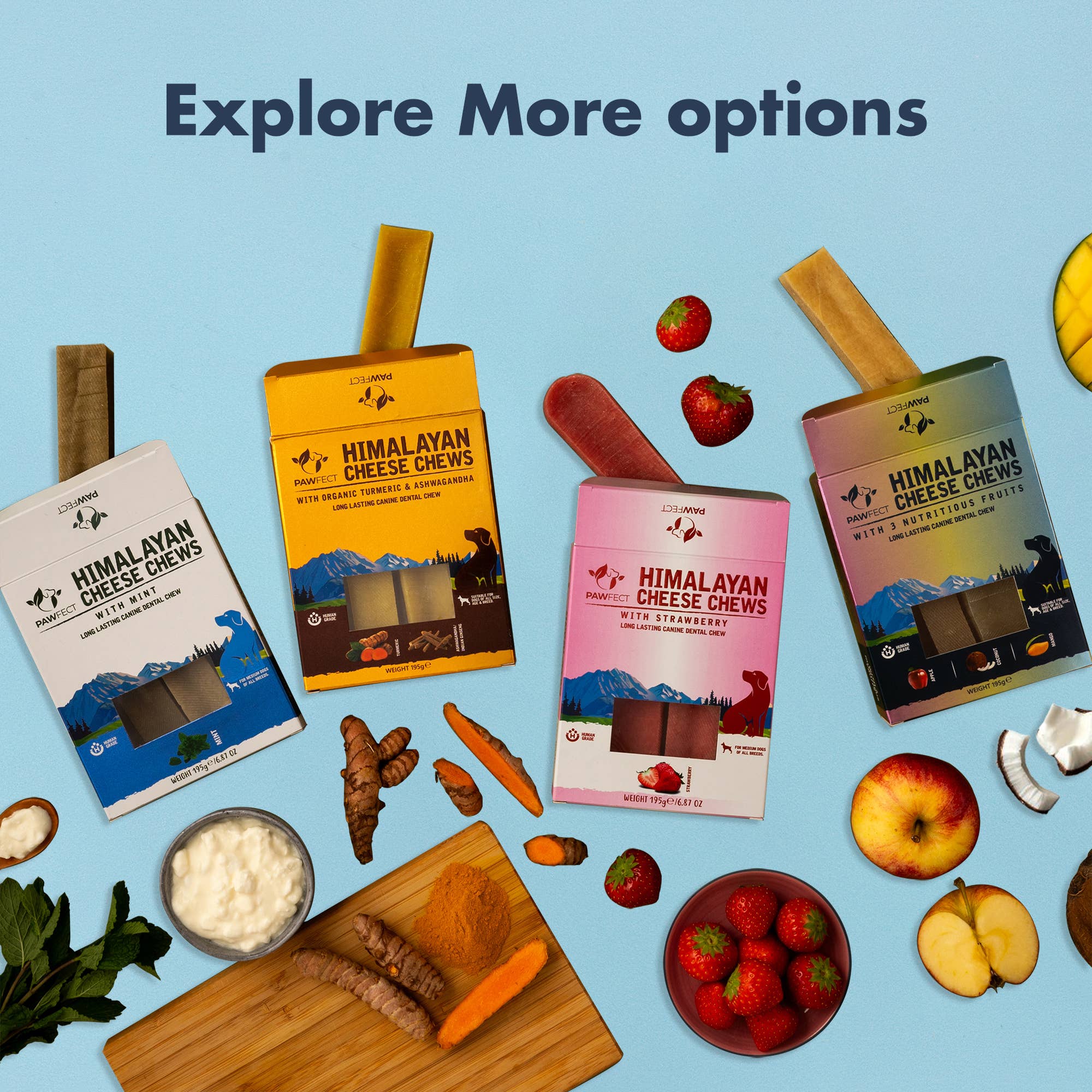 Pawfect Foods – Engroshandel Godbid - Hund – Pawfect Himalaya Ostetygger med Æble, Mango & Kokos til Hunde | Helt naturlig tandstik | Rig på protein & calcium | Kornfri | Langvarig tygge | Pakke med 35