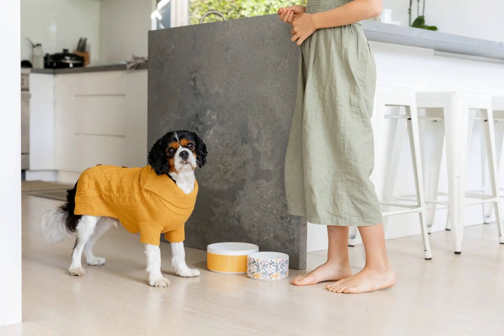 DOGUE - Wholesale Pet Sweater - Dog - DOGUE Classic Cardi Knit Dog Jumper13