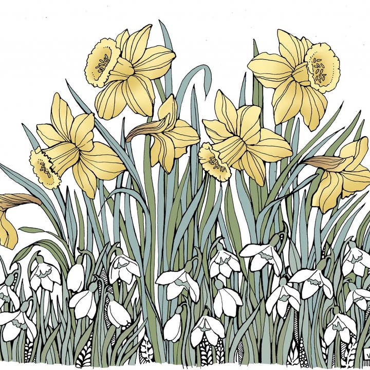 Daffodils & Snowdrops for wholesale by Alff a Bet Design
