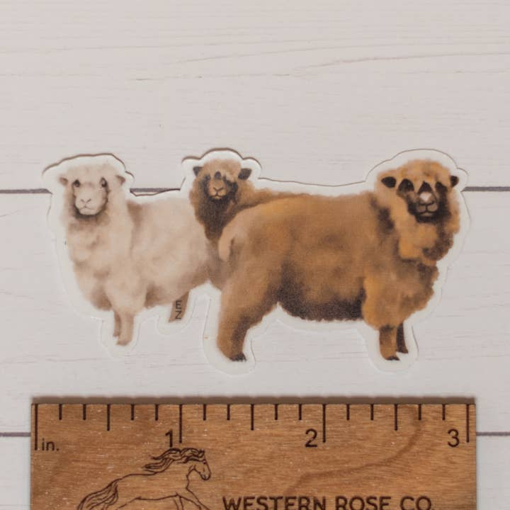 Romney Sheep Trio Sticker for wholesale by Western Rose Studios