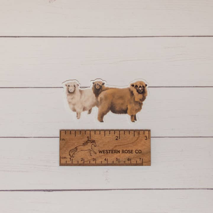 Autocollant Trio de moutons Romney pour la vente par Western Rose Studios