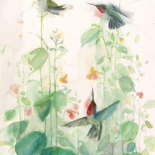 Ruby Throated Hummingbirds ~ "Delicate Balance" ~ "Songbirds & Friends" ~ Giclée Print for wholesale by Holly Wach Art LLC
