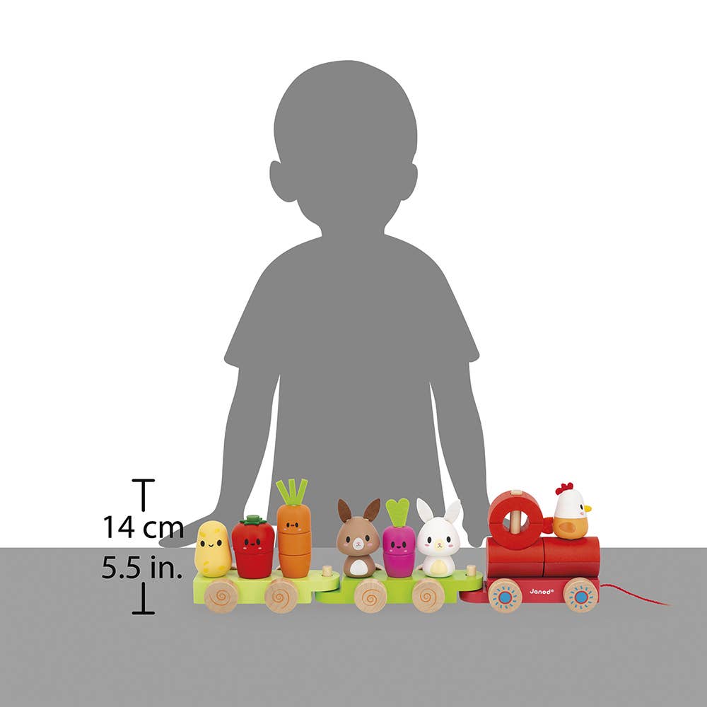 Janod - Wholesale Wood Toy - Kids - Farm | Pull-Along Stacker Train | 19 pieces6