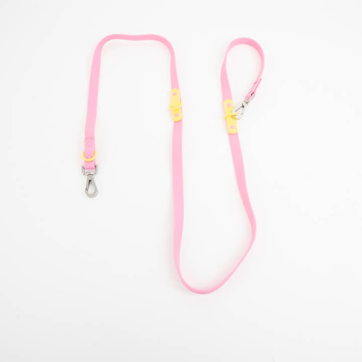 Approved by Fritz - EUROPE - Wholesale Pet Leash - Dog - The Fritz Dog Leash Waterproof, Easy to Clean, Adjustable27