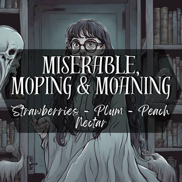 Three T Creations - Wholesale Car Freshener - Unisex - Wizard School Year 2 Car Diffusers3