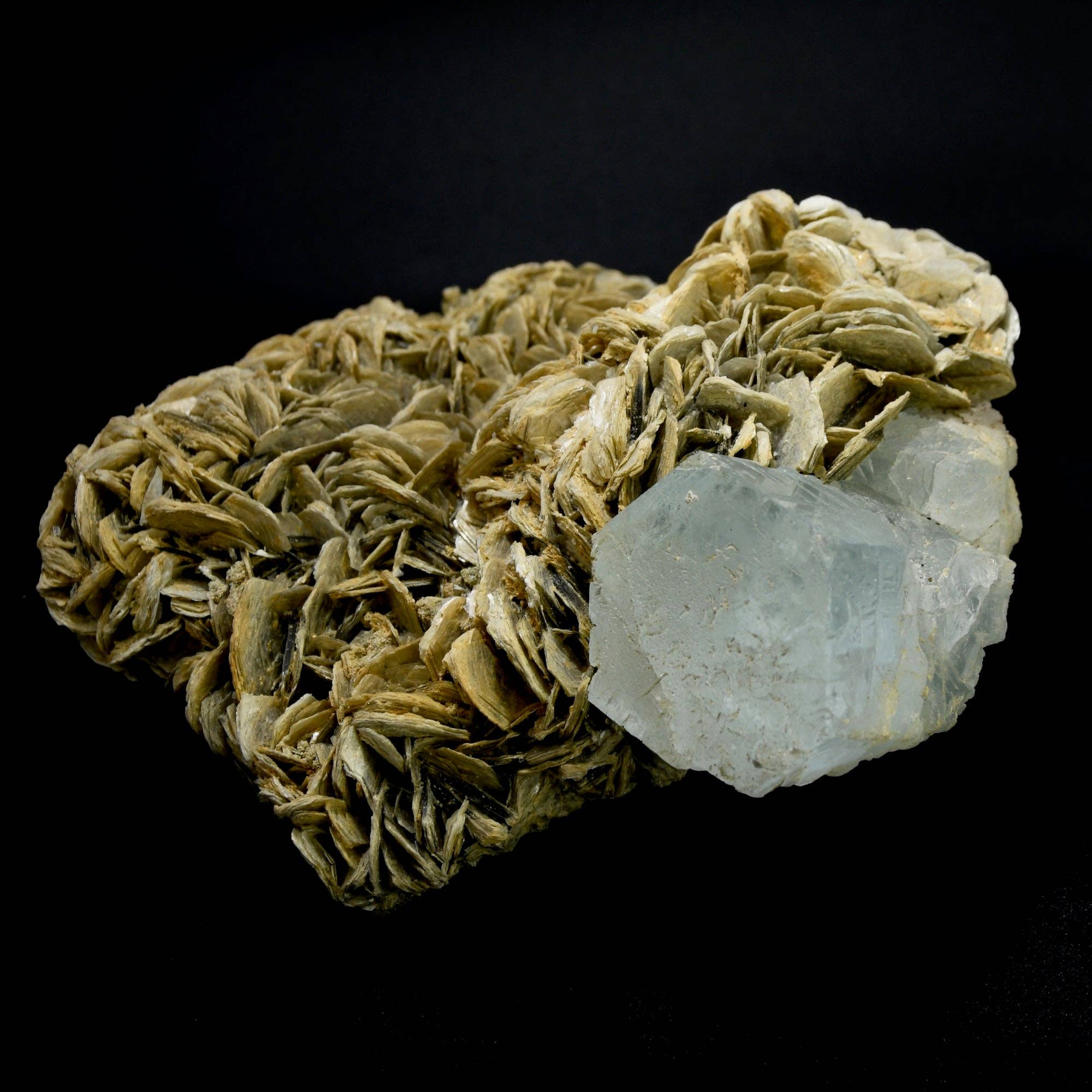 Caspar Curiosities – Pedra/cristal espiritual por atacado – Cluster de Cristal de Água-marinha XL Bruto de 4,7 lb com Fluorite Rosa e Matriz de Moscovite, Paquistão7