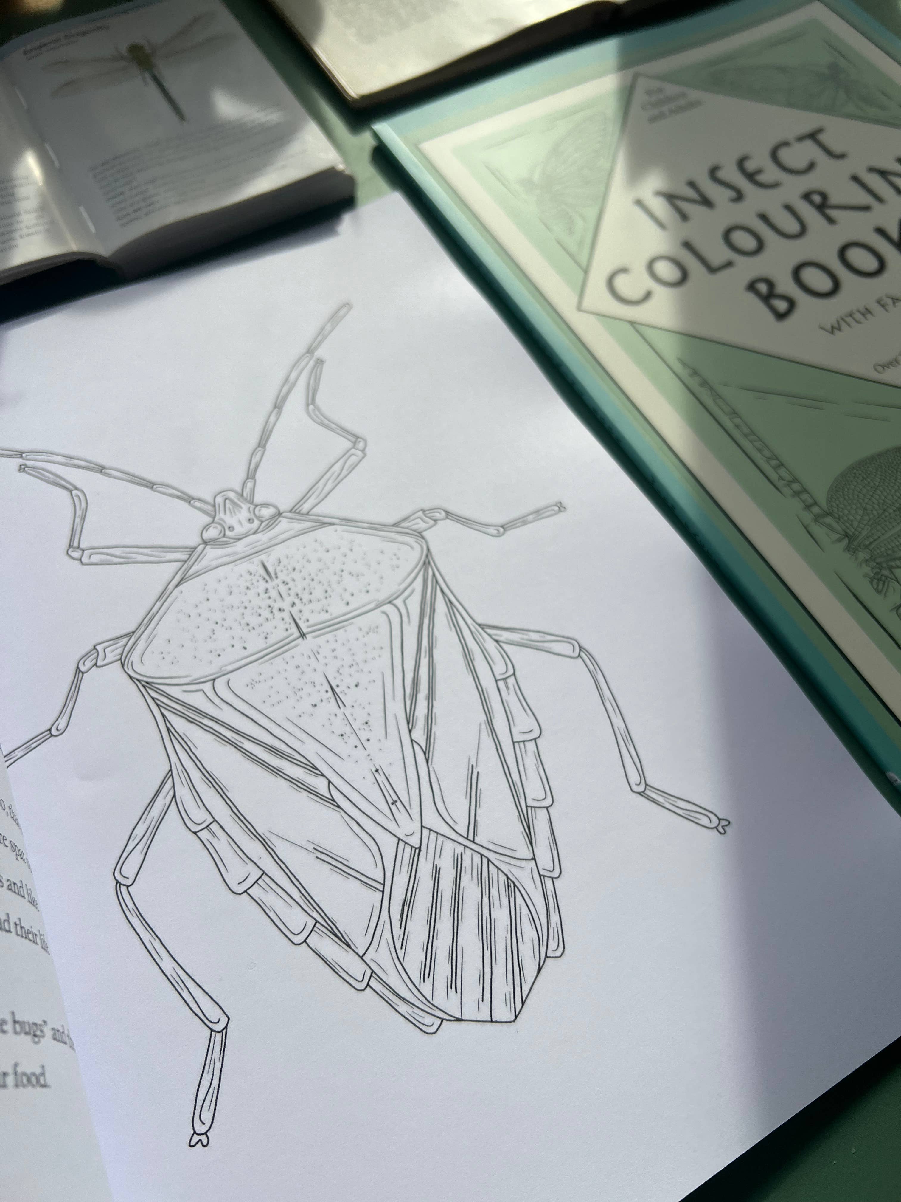 Tansy Moore - Wholesale Coloring & Activity Book - Adult - Factual Insect Colouring Book, Entomology/Wildlife Gift1