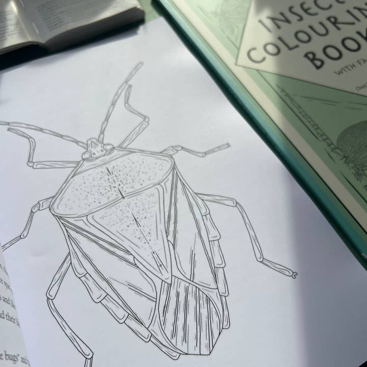 Tansy Moore - Wholesale Coloring & Activity Book - Adult - Factual Insect Colouring Book, Entomology/Wildlife Gift1