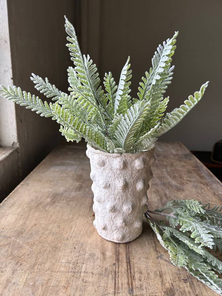 Branche de fougère givrée pour la vente par The Global Swap Shop