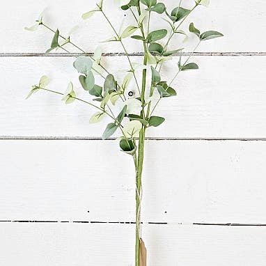 Impressive Enterprises, Inc. - Wholesale Artificial Plant - ISB72693- 32in Silver Dollar Eucalyptus Branch-12/96pcs