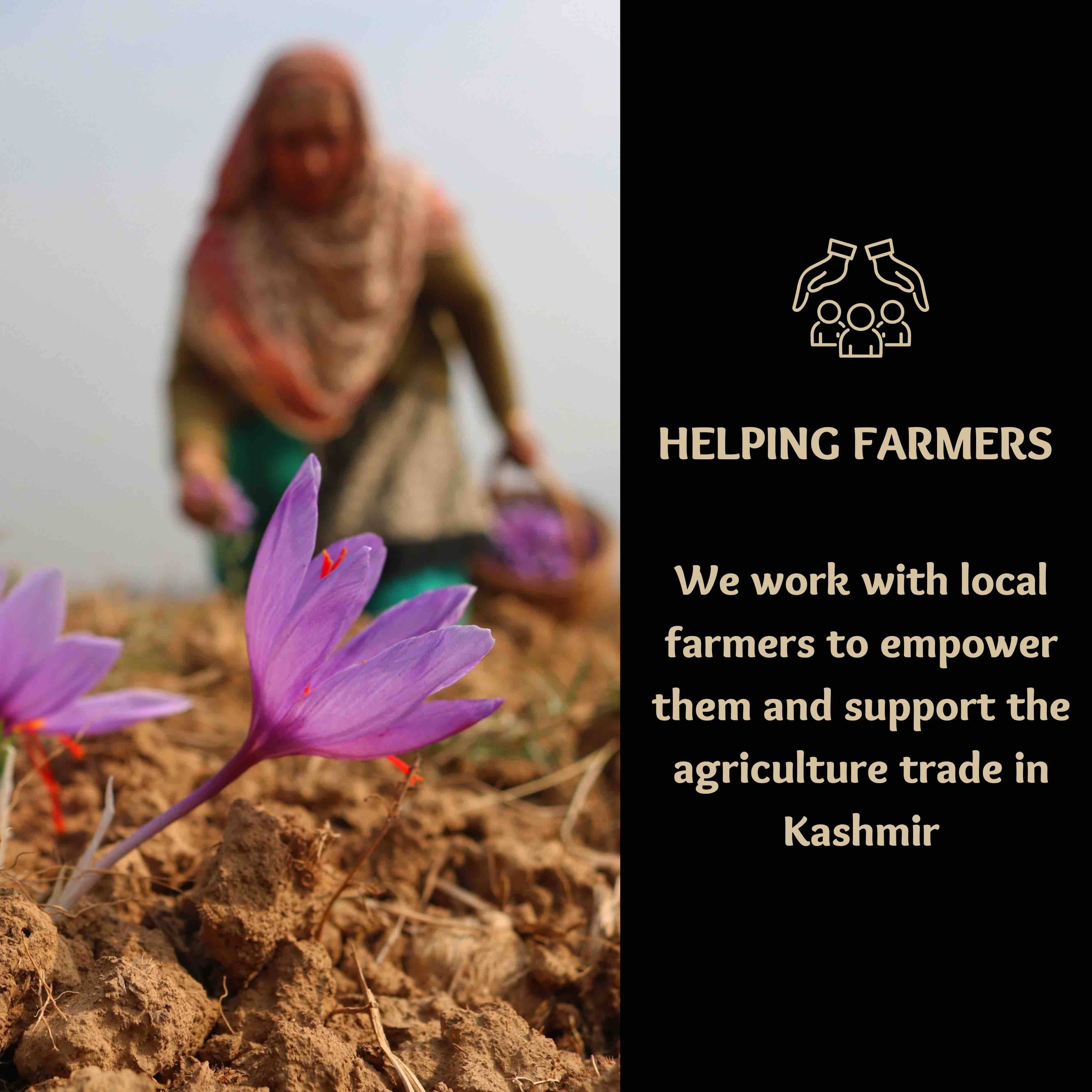 Luxurients – Großhandel Gewürze – Luxurients Premium Kashmiri Safran 1g Gewinner mit großem Geschmack7