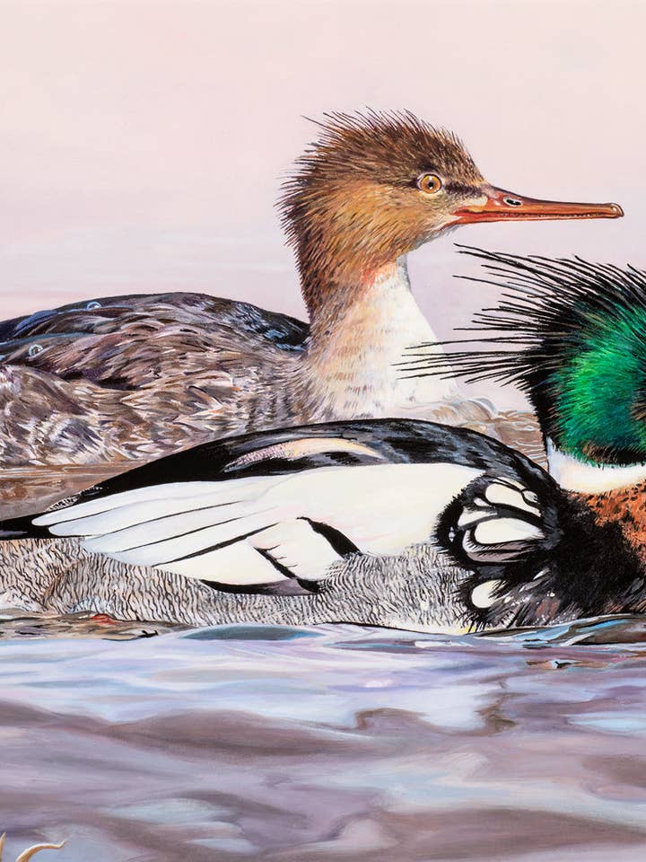 2020 Maine Duck Stämpeltryck (Rödknäppta fusioner) för wholesale av Rebekah Lowell Creative Studio