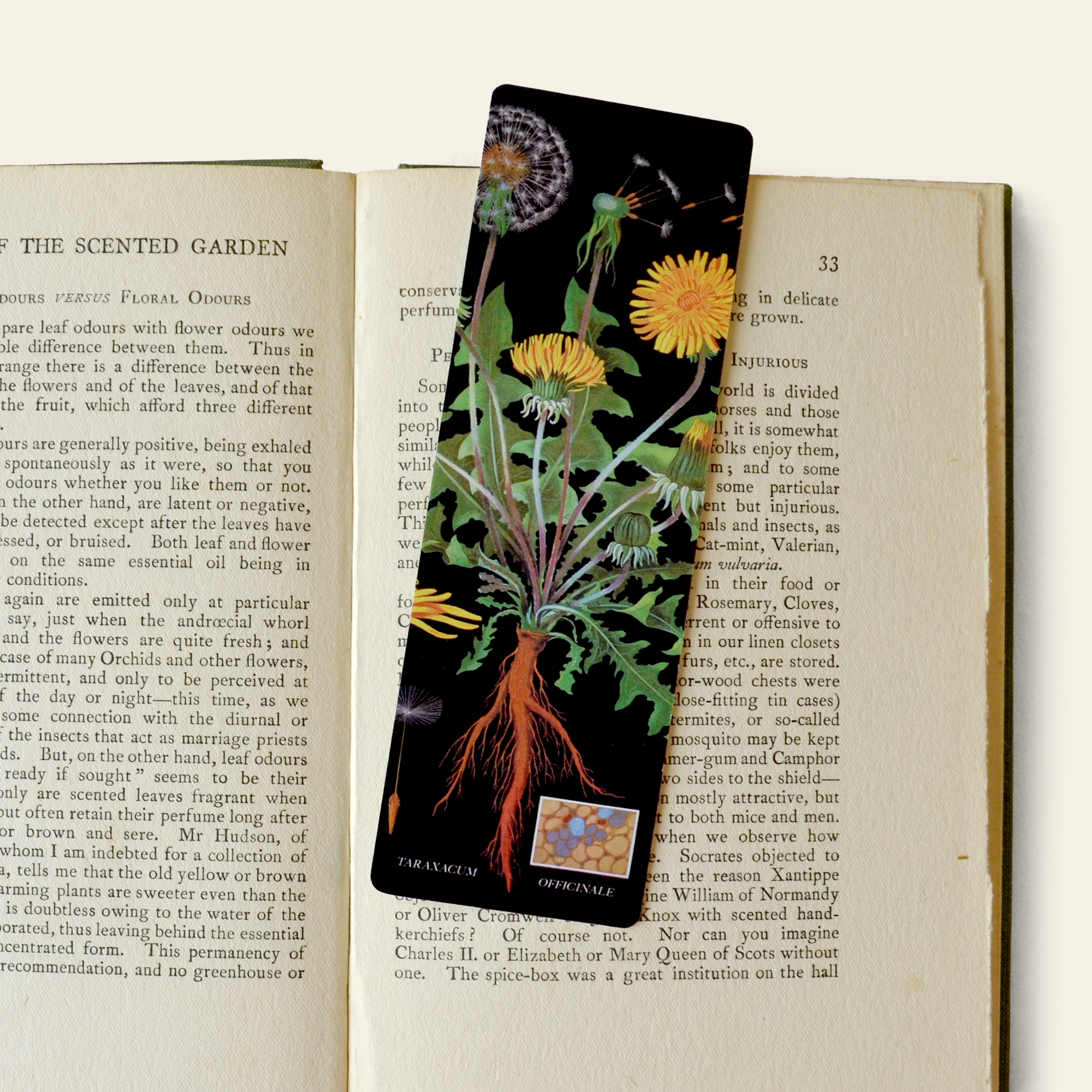 Curious Prints - Wholesale Bookmark - Dandelion Double-Sided Bookmark with Vintage Marbling1