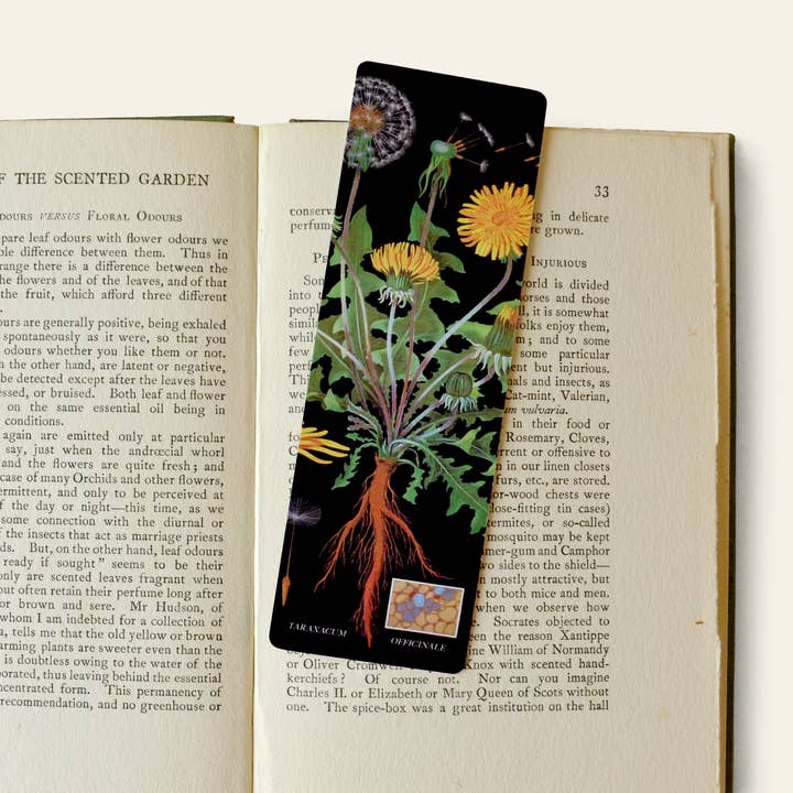 Curious Prints - Wholesale Bookmark - Dandelion Double-Sided Bookmark with Vintage Marbling1