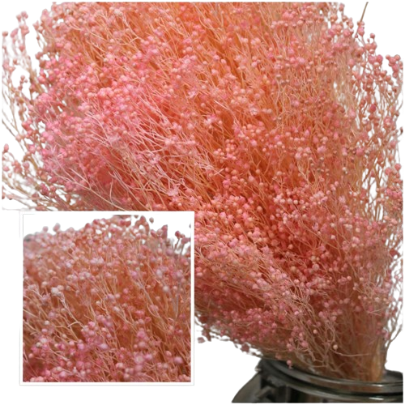 Concari.flores Preservadas - Wholesale Dried/Pressed Flowers - BROOMS PRESERVED9