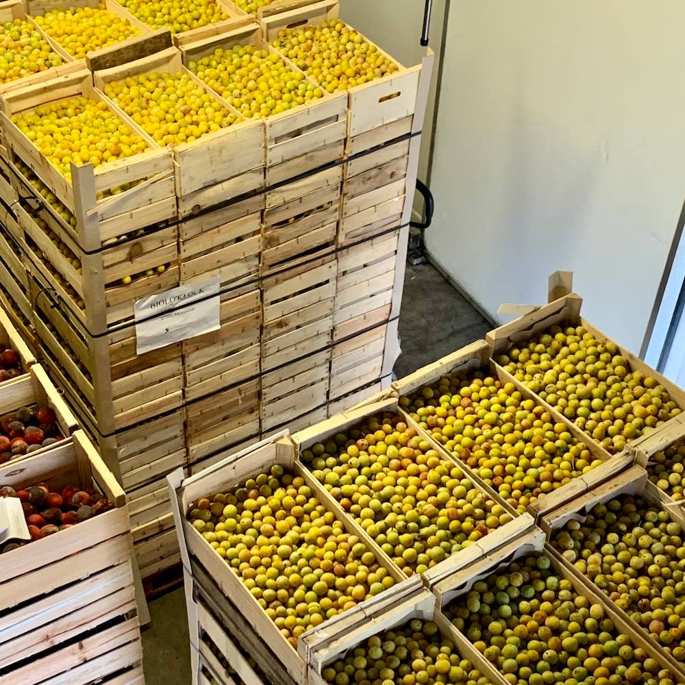 THE FRENCHMAN - Wholesale Jam/Jelly - Mirabelle Plum Jam | 260g1