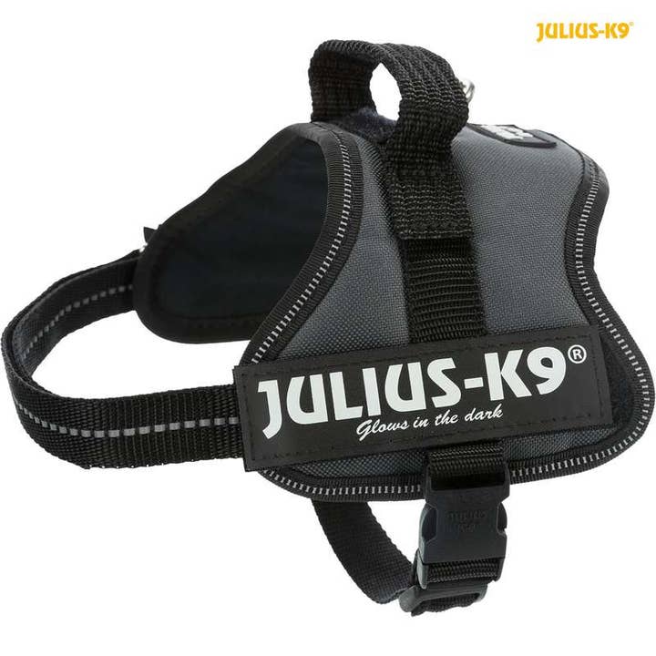 JULIUS K9 Power Harnas Grijs voor wholesale door SAS DISTRIDOG PRODOG & CO
