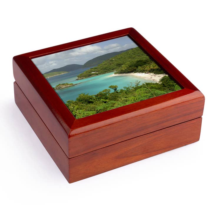 3dRose – wholesale Jewellery box/organiser – 3dRose, USVI, St. John, Trunk Bay, Virgin Islands NP-CA37 CMI0147 - Cindy Miller Hopkins, Jewelry Box