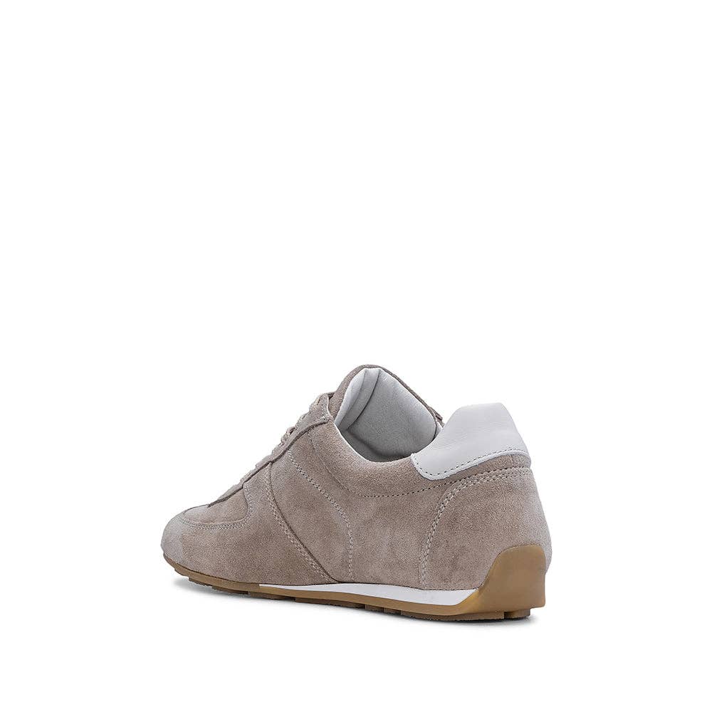 What a Shoes – Großhandel Lifestyle-Sneaker – Herren – Frankfurt Sneakers – Klassische Sneaker in neuen Farben6