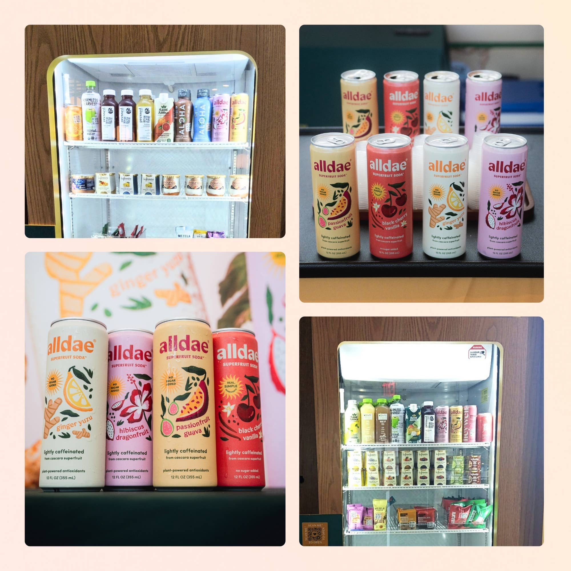 alldae superfruit soda - Wholesale Soda/Carbonated Drink - Variety 12 Pack | Healthy Soda | Lightly Caffeinated Soda5