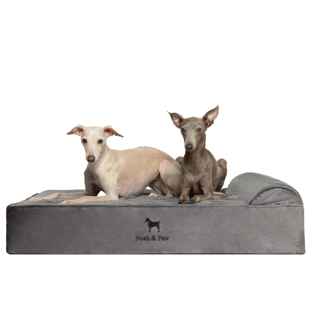 NOAH AND PAW LLC - Wholesale Bed voor huisdieren- Kat/hond - Fluwelen orthopedisch huisdierbed, traagschuim, doordrenkt met verkoelende gel - Klassiek9