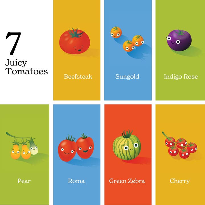 Chunky Deli - Wholesale Baby & Toddler Book (0-2) - Little Book of Tomatoes4